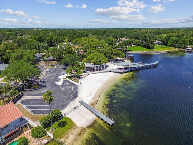10408 Butia Pl, Tampa, FL 33618 - photo 26
