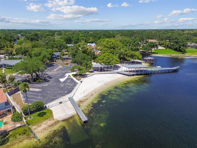 10408 Butia Pl, Tampa, FL 33618 - photo 27