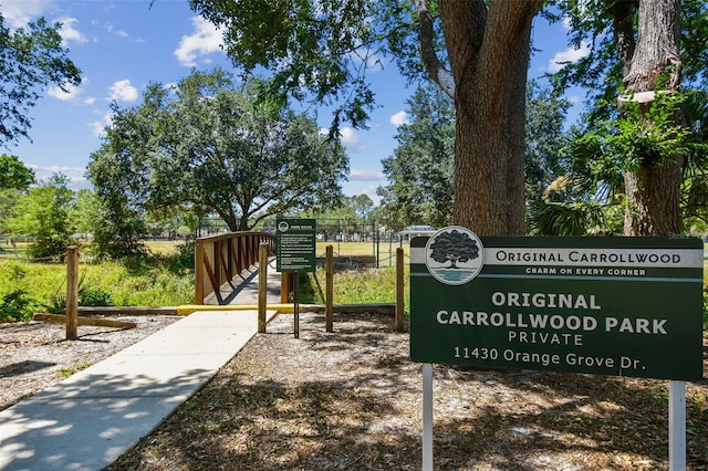 10408 Butia Pl, Tampa, FL 33618 - photo 30