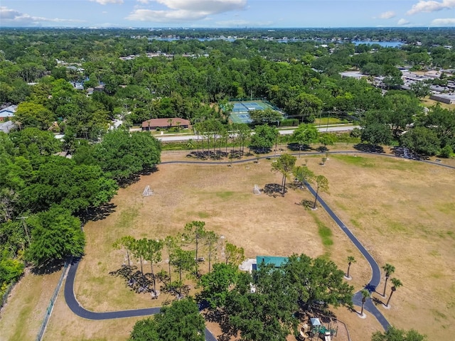 10408 Butia Pl, Tampa, FL 33618 - photo 33