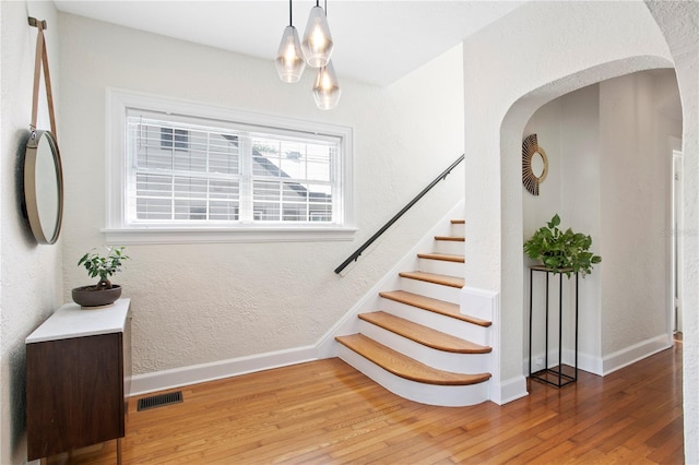 126 14th Ave NE, Saint Petersburg, FL 33701 - photo 11
