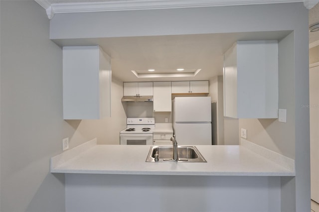 4801 W Mcelroy Ave Unit D104, Tampa, FL 33611 - kitchen featuring white appliances, a sink, a peninsula, under cabinet range hood, and crown molding