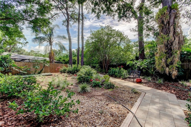 3406 Hollyhock Way, Tampa, FL 33618 - view of yard with fence