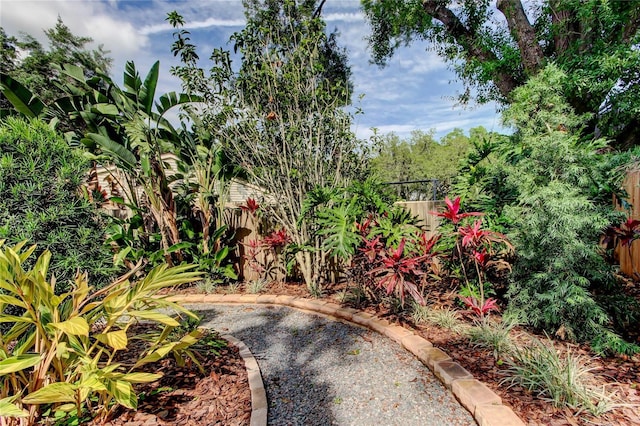 3406 Hollyhock Way, Tampa, FL 33618 - view of yard featuring fence