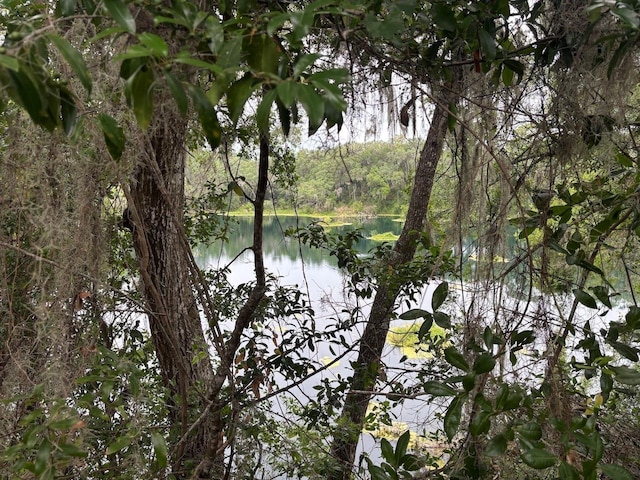 2846 N Kittery Pt, Hernando, FL 34442 - water view with a heavily wooded area