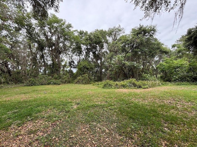 2846 N Kittery Pt, Hernando, FL 34442 - view of green lawn