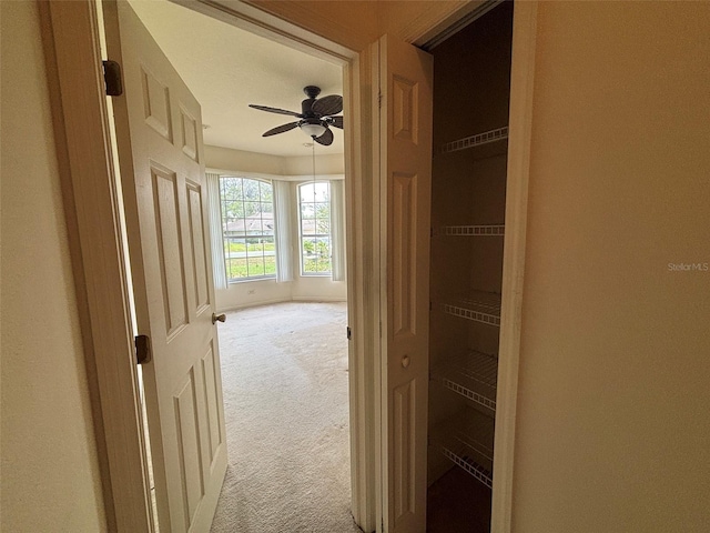 2846 N Kittery Pt, Hernando, FL 34442 - view of closet