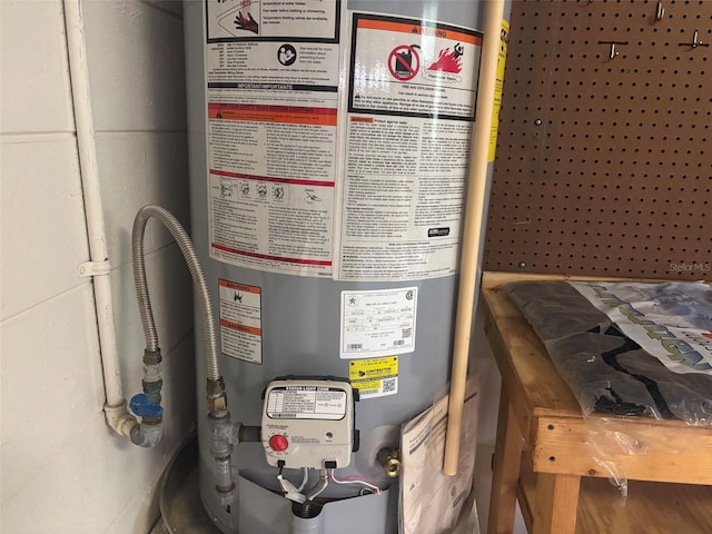 2846 N Kittery Pt, Hernando, FL 34442 - utility room with water heater