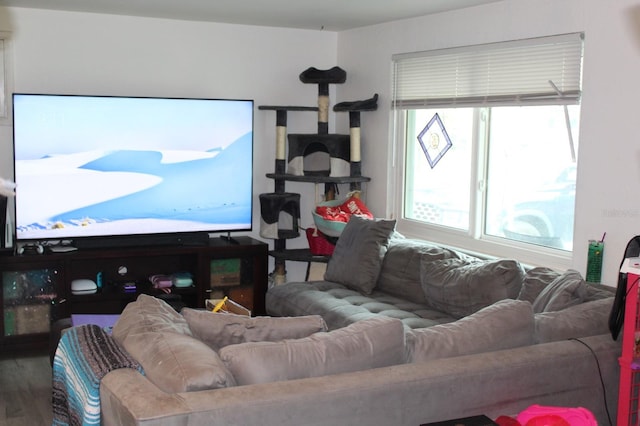 4928 Lake Ridge Ln, Holiday, FL 34690 - living room featuring plenty of natural light and wood finished floors