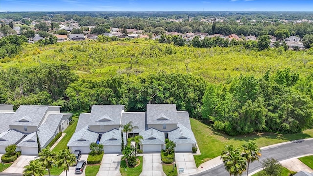 1628 Lullwater Ln, Lutz, FL 33549 - aerial perspective of suburban area