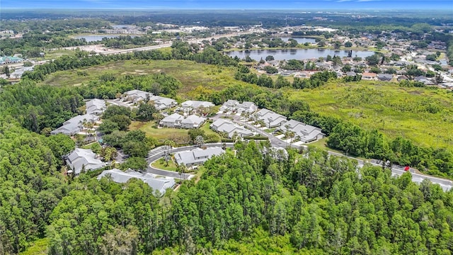 1628 Lullwater Ln, Lutz, FL 33549 - aerial overview of property's location with a large body of water and nearby suburban area