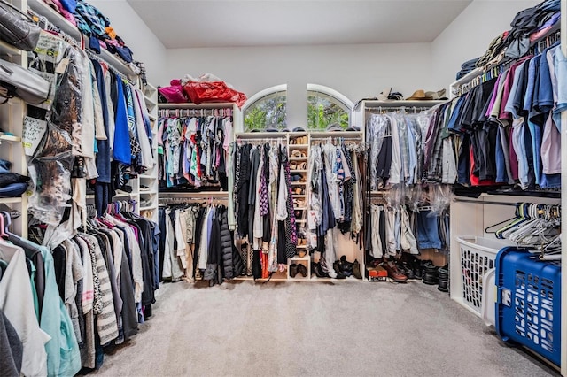walk in closet with carpet flooring
