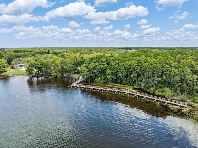 water view featuring a heavily wooded area and a boat dock