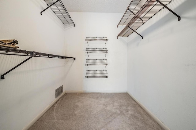 3230 Player Dr, New Port Richey, FL 34655 - walk in closet featuring carpet floors