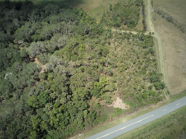 Emeralda Island Rd, Leesburg, FL 34788