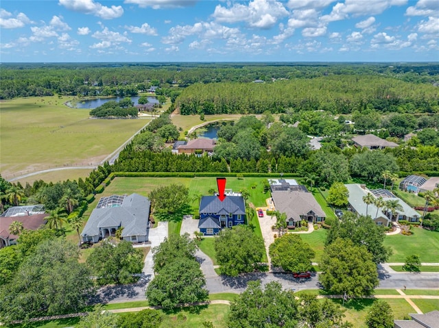 19620 Eagle Crest Dr, Lutz, FL 33549 - aerial perspective of suburban area with a nearby body of water and a heavily wooded area