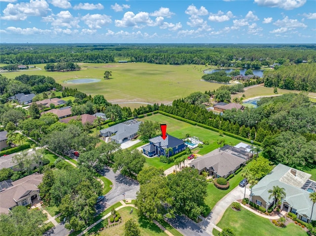 19620 Eagle Crest Dr, Lutz, FL 33549 - aerial view of residential area with a nearby body of water and a heavily wooded area