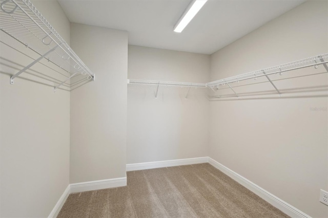 13137 Wellspring Dr, Lithia, FL 33547 - spacious closet featuring carpet floors