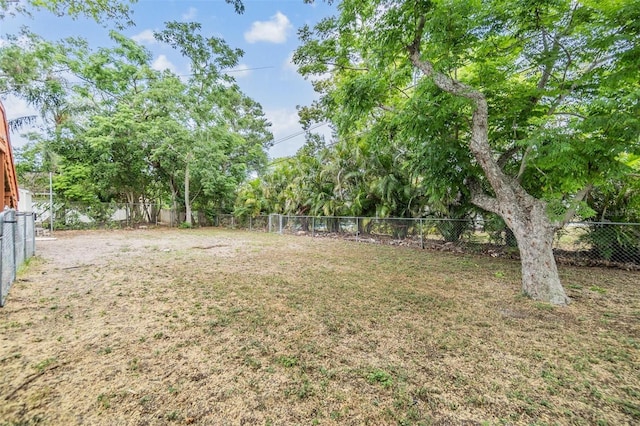 1225 15th St, Palm Harbor, FL 34683 - view of yard