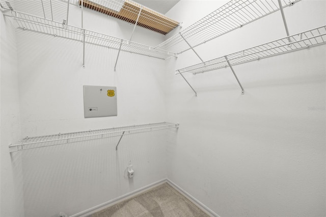 walk in closet featuring carpet