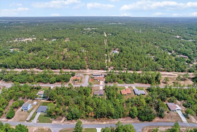 drone / aerial view of a forest