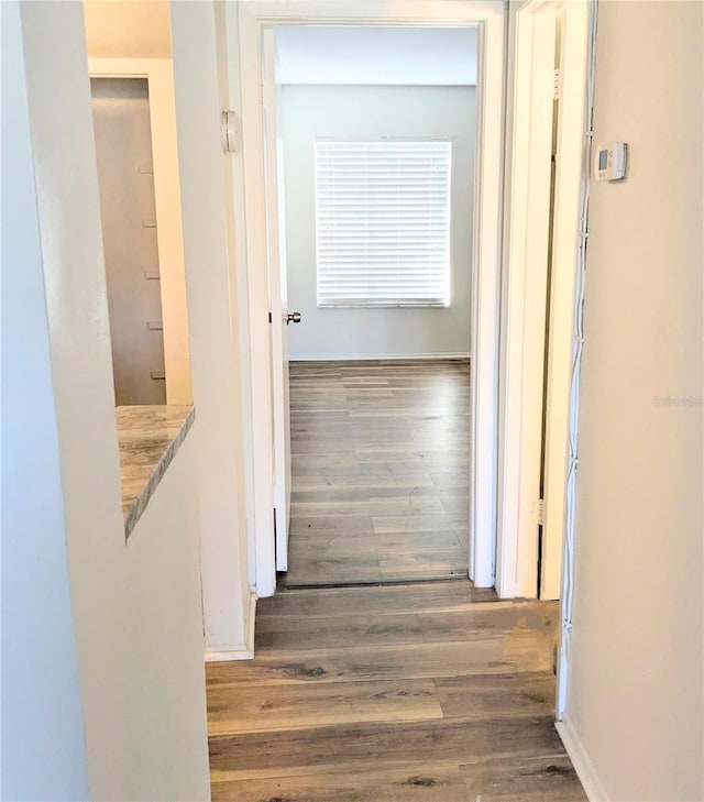 3840 N Lake Dr Unit 125, Tampa, FL 33614 - corridor with wood finished floors and baseboards
