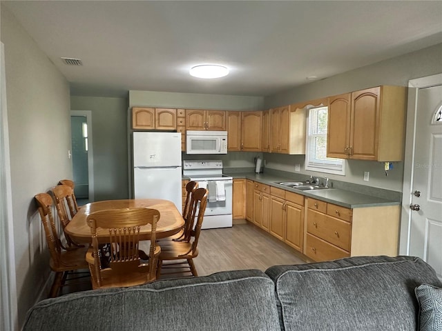 11729 John Robbins Rd, Riverview, FL 33578 - kitchen with white appliances, light wood-style flooring, a sink, light brown cabinets, and dark countertops