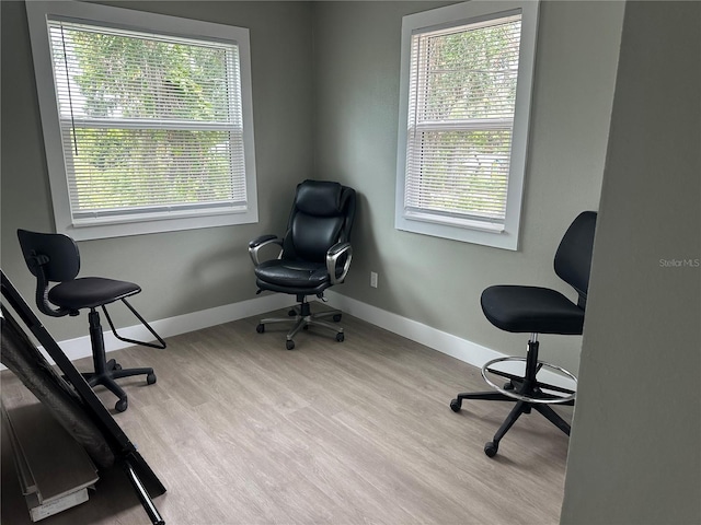 11729 John Robbins Rd, Riverview, FL 33578 - office area featuring baseboards and wood finished floors