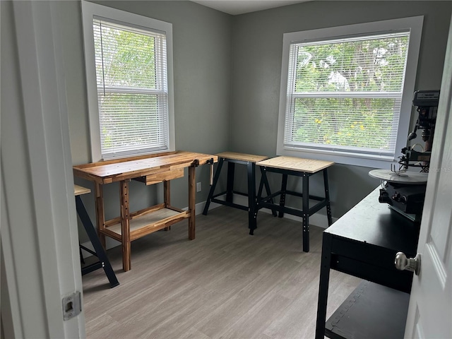 11729 John Robbins Rd, Riverview, FL 33578 - home office with light wood-type flooring