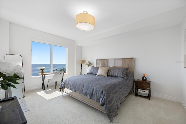 1325 Snell Isle Blvd NE Unit 810, Saint Petersburg, FL 33704 - bedroom with light colored carpet and baseboards