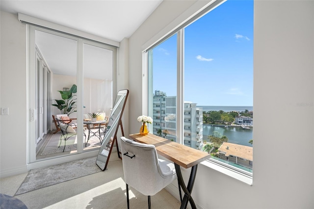 1325 Snell Isle Blvd NE Unit 810, Saint Petersburg, FL 33704 - sunroom with a water view