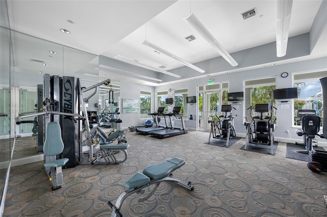 1325 Snell Isle Blvd NE Unit 810, Saint Petersburg, FL 33704 - gym featuring carpet floors and baseboards