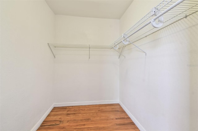 5010 8th Ave N, Saint Petersburg, FL 33710 - spacious closet with light wood-style flooring