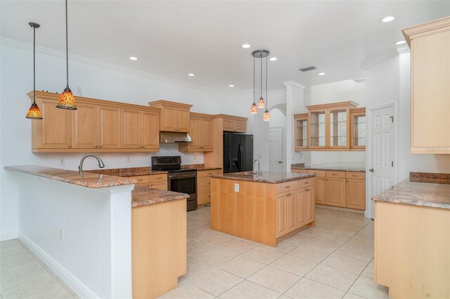 6120 9th Avenue Cir NE, Bradenton, FL 34212 - kitchen featuring electric stove, black refrigerator with ice dispenser, under cabinet range hood, a peninsula, and a sink