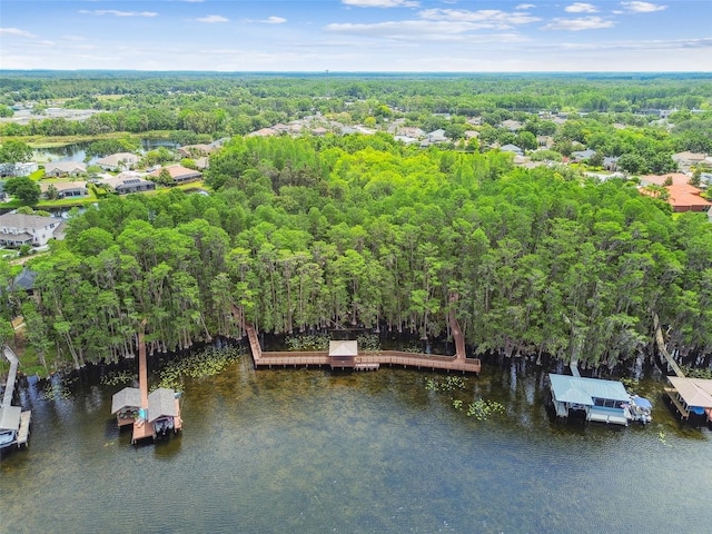 21215 Preservation Dr, Land O Lakes, FL 34639 - bird's eye view of a large body of water and a heavily wooded area