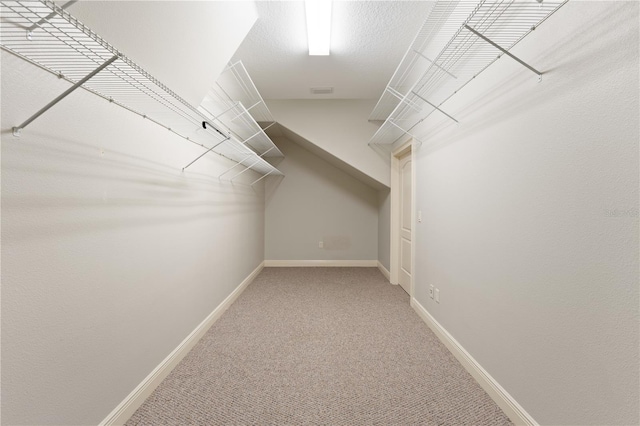 15104 Azra Dr, Odessa, FL 33556 - walk in closet with carpet flooring