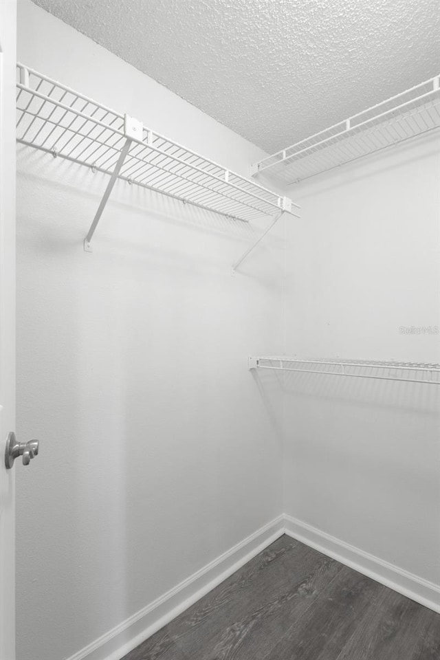 2500 Winding Creek Blvd Unit A104, Clearwater, FL 33761 - walk in closet with dark wood-style floors