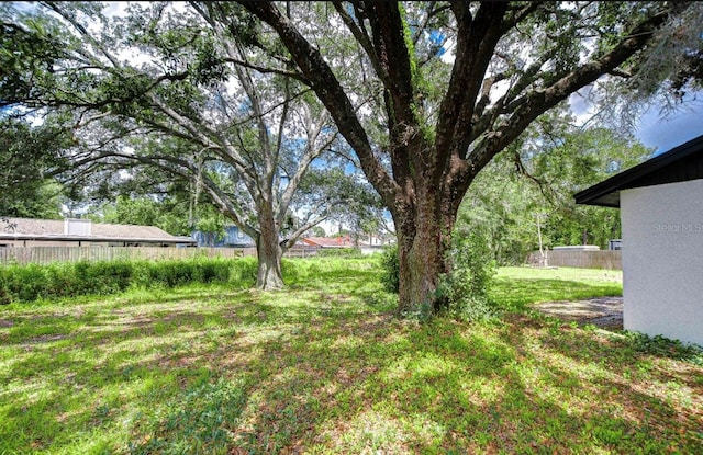 4911 Country Aire Ln, Tampa, FL 33624 - view of yard