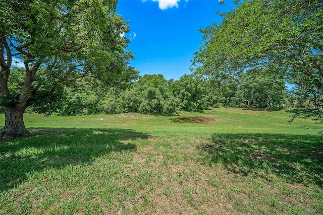 13819 Stoneridge Dr, Hudson, FL 34669 - view of grassy yard