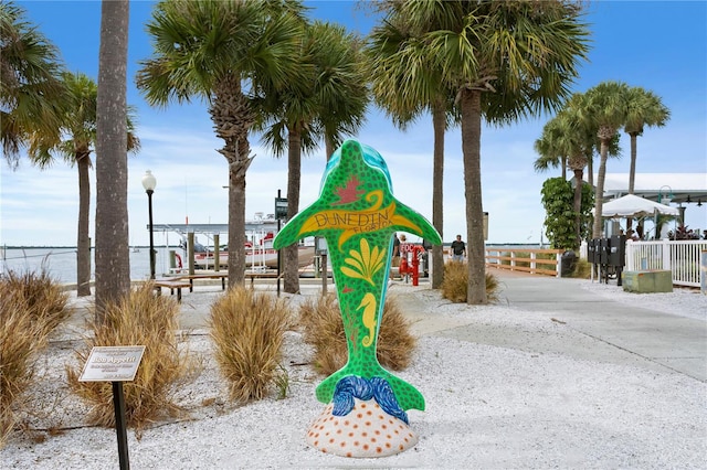 556 Virginia St, Dunedin, FL 34698 - view of playground