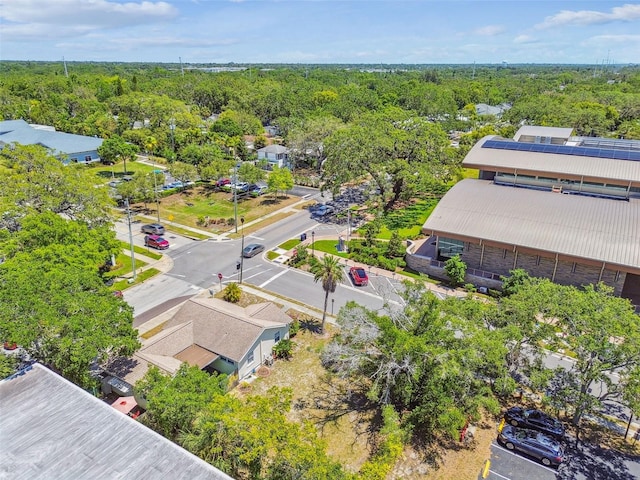 556 Virginia St, Dunedin, FL 34698 - bird's eye view of a heavily wooded area