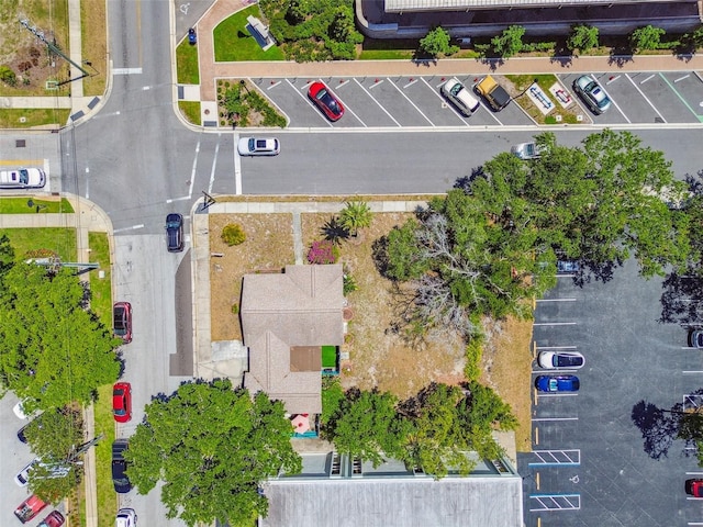 556 Virginia St, Dunedin, FL 34698 - bird's eye view