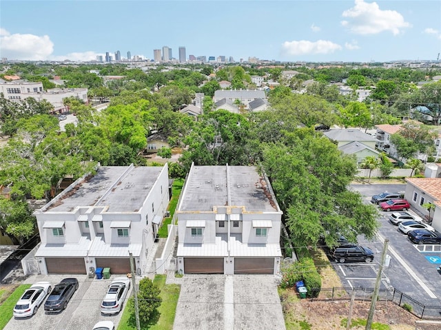 aerial view of a skyline view