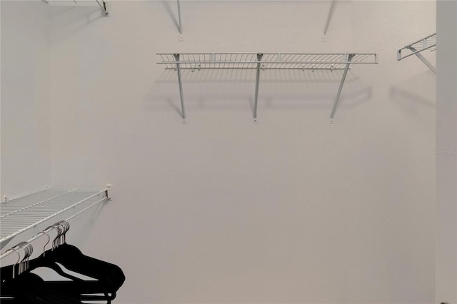 15855 Fishhawk View Dr, Lithia, FL 33547 - view of walk in closet