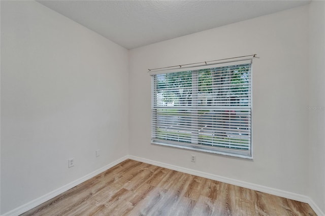 15855 Fishhawk View Dr, Lithia, FL 33547 - spare room featuring light wood-type flooring and baseboards