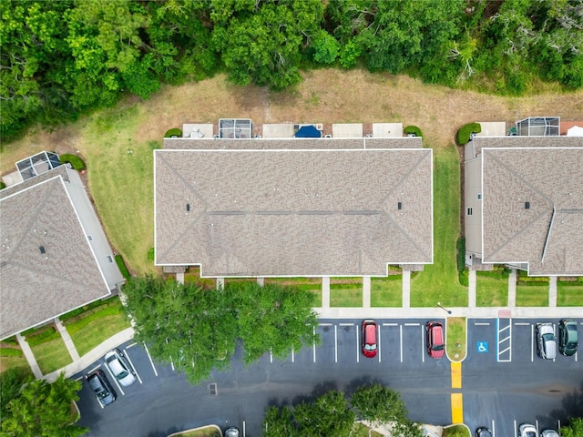 15855 Fishhawk View Dr, Lithia, FL 33547 - bird's eye view