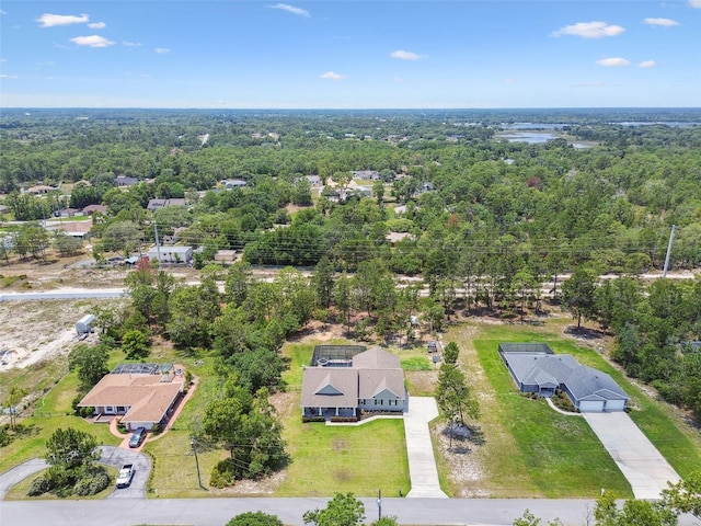 aerial view of a forest