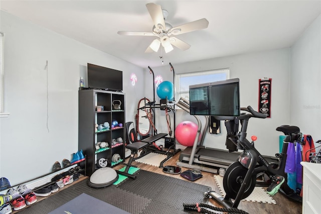 361 Colonial Ct, Dunedin, FL 34698 - workout room featuring wood finished floors and ceiling fan