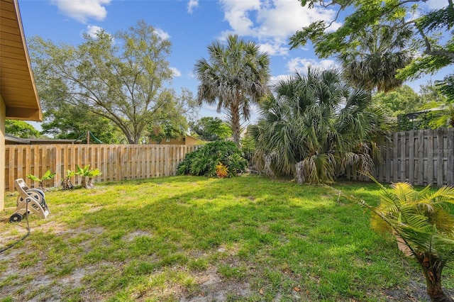 854 Village Way, Palm Harbor, FL 34683 - view of yard