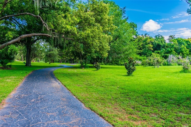 854 Village Way, Palm Harbor, FL 34683 - view of property's community with a yard
